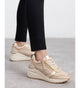 Carmela 162446 Leather Sneaker - Beige - My Shoe Shop - Sneaker