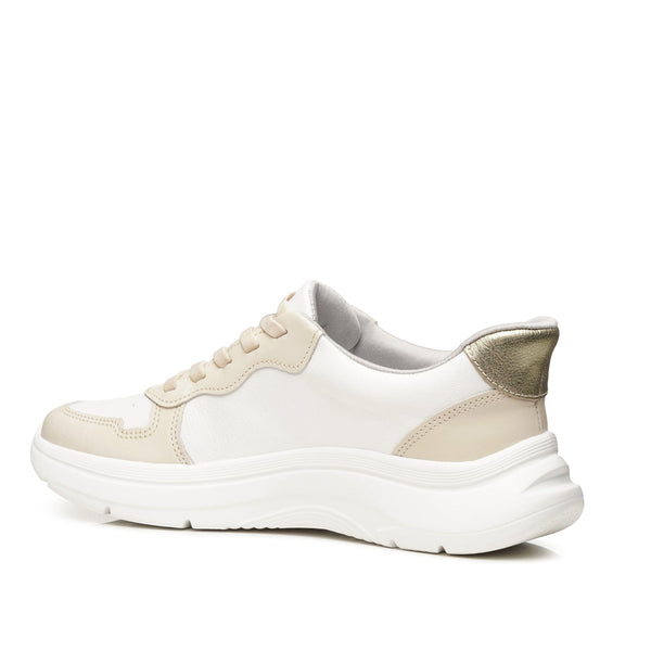 Pegada 211403- 02 Napa Leather Sneaker - Beige - My Shoe Shop - Sneaker