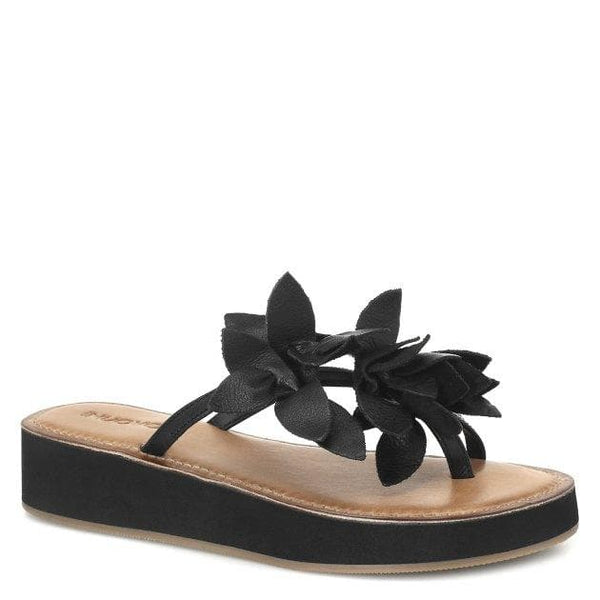 Inuovo 9105 Leather Slipper Wedge with Flowers- Black - My Shoe Shop - Wedge