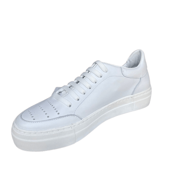 Via Veneto Leather Sneaker with Lace - White - My Shoe Shop - Sneaker